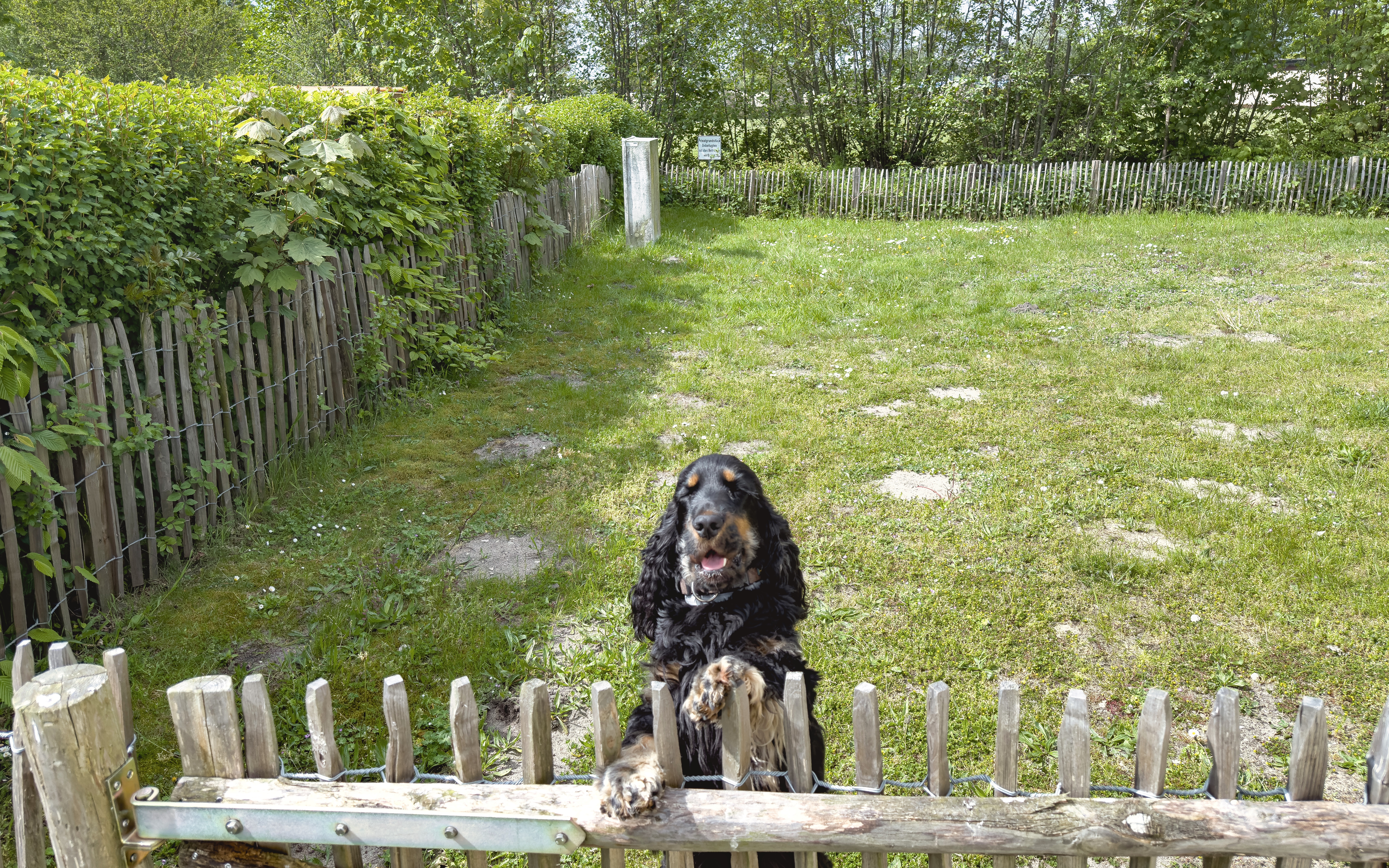 Grömitz - perfekt für Urlaub mit Hund