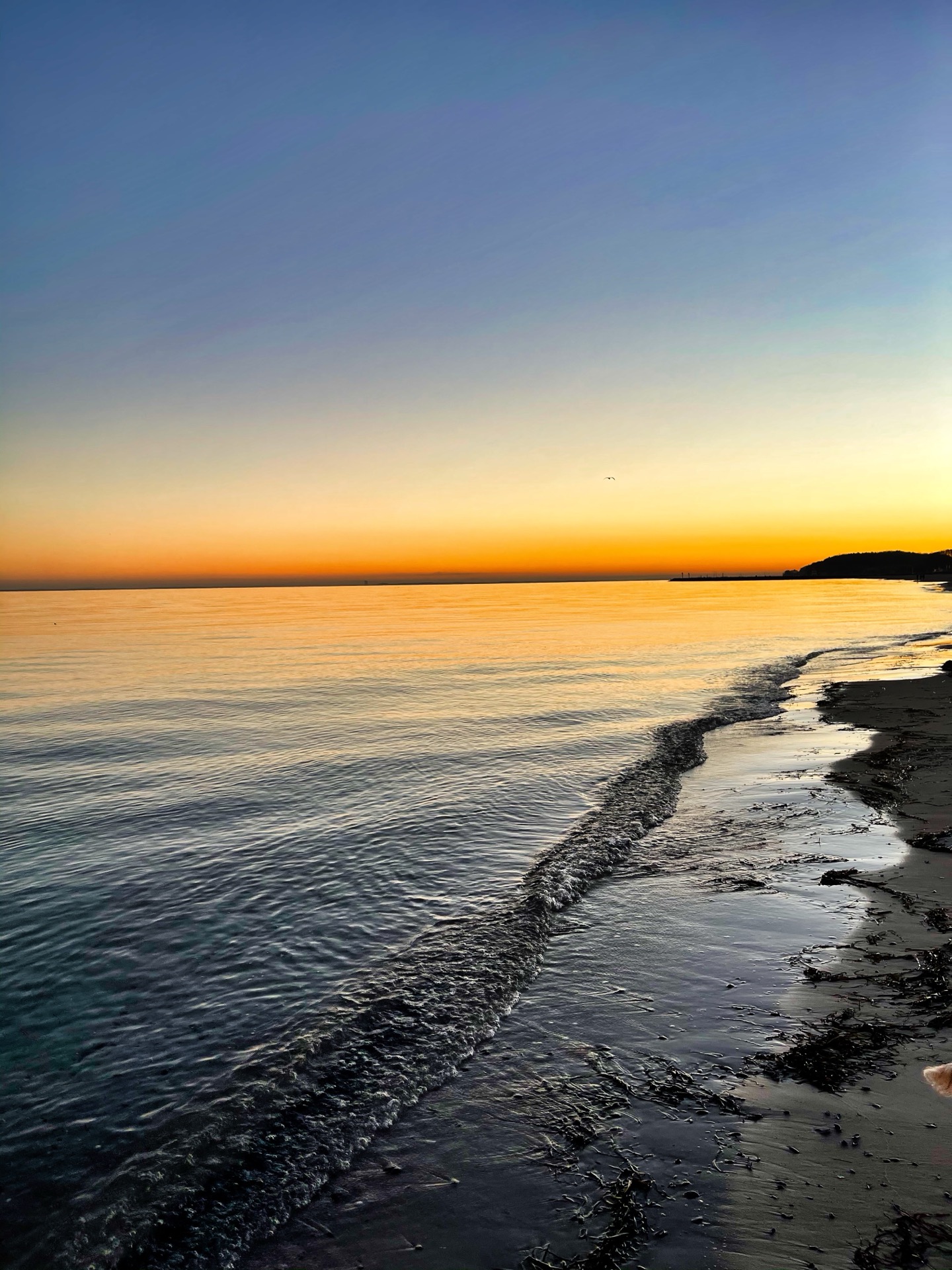 Sonnenuntergang am Meer mit Hund